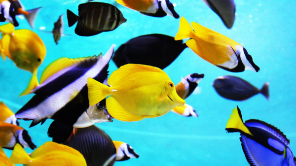 해양수산부 국립해양박물관, 어린이박물관 새단장 완료 사진