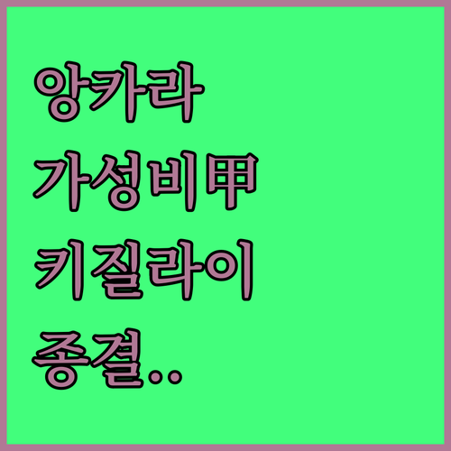 터키 앙카라 호텔 추천 및 키질라이 ..