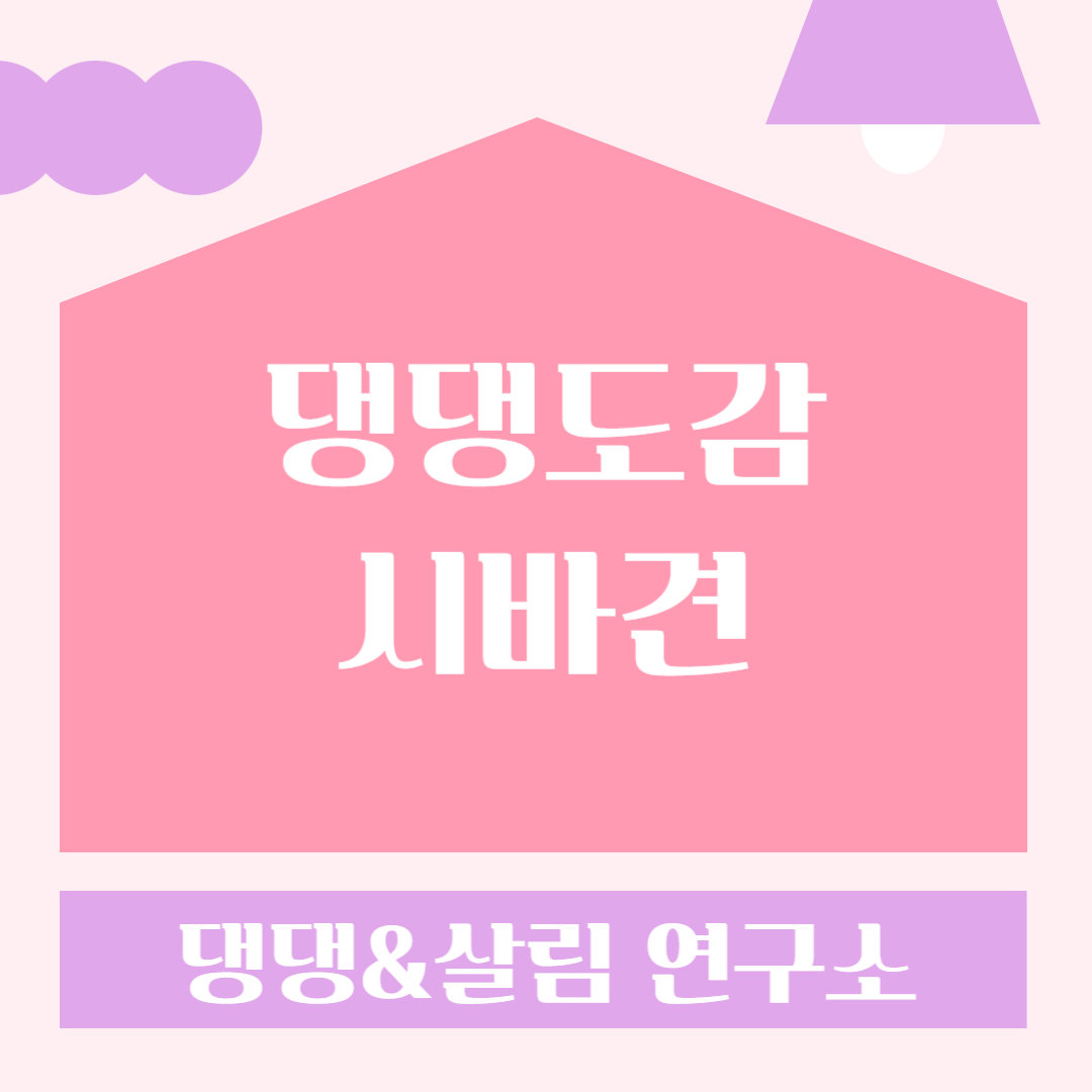 반려견 시바견