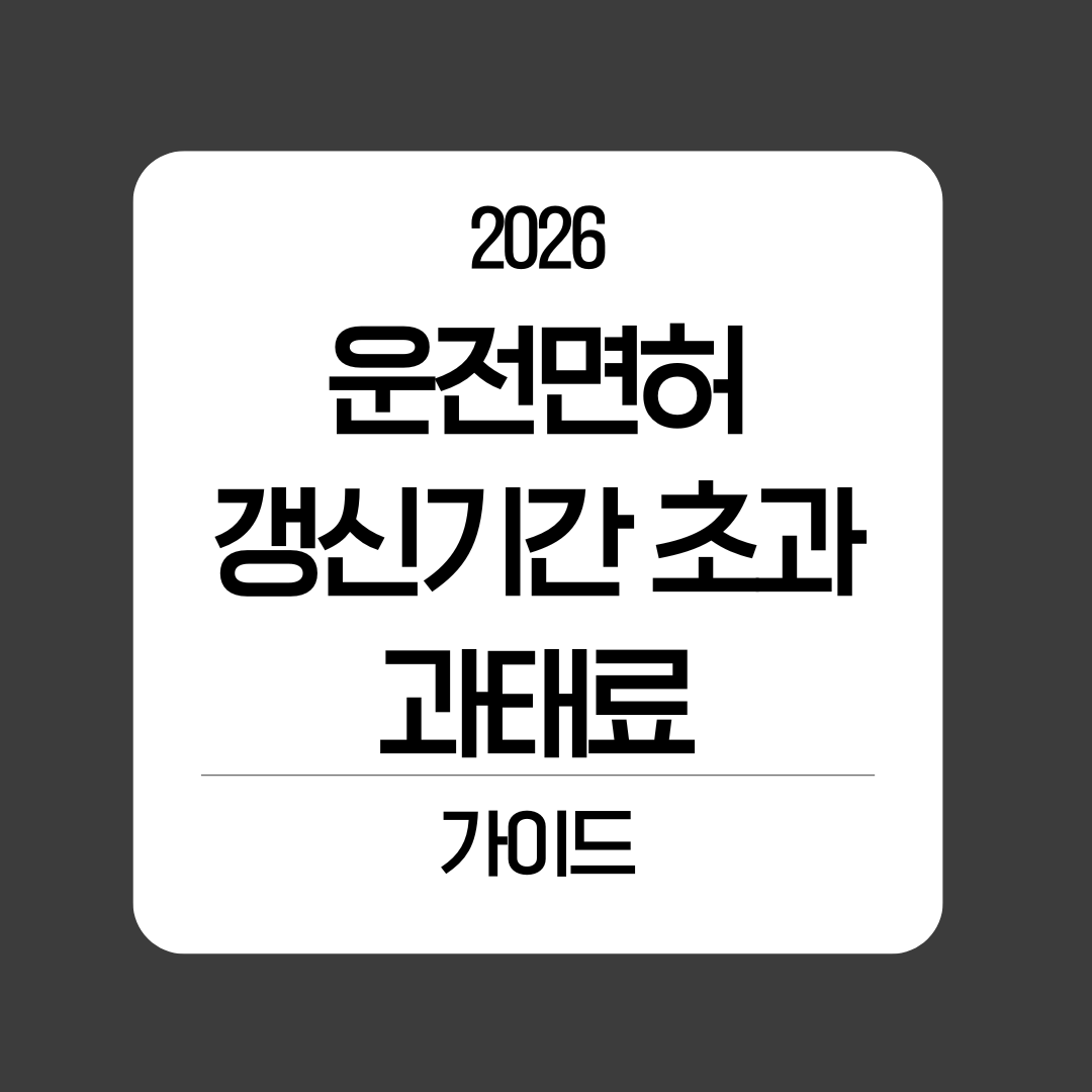 운전면허증 갱신기간 초과 과태료 가이드