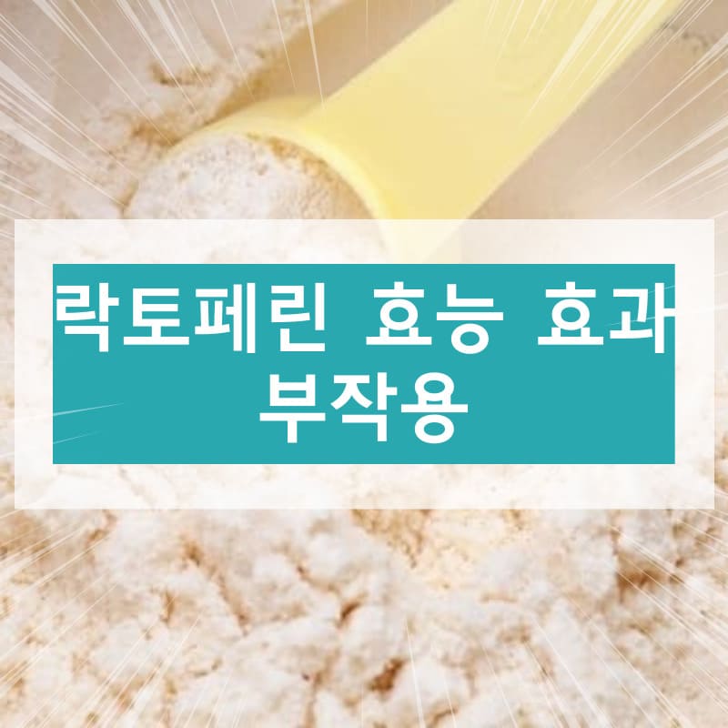 락토페린 효능 효과 부작용