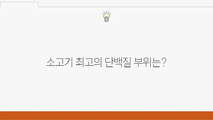 소고기 단백질 많은 부위 총정리 흡수율 100g 기준