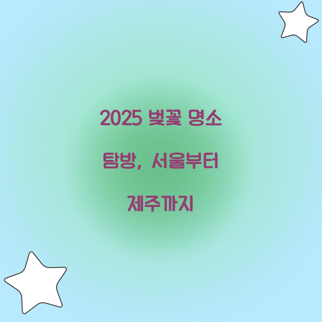 벚꽃 명소