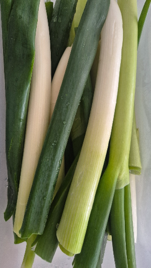 기본 식재료이자 건강까지 챙길 수 있는 파에 대해 알아보기