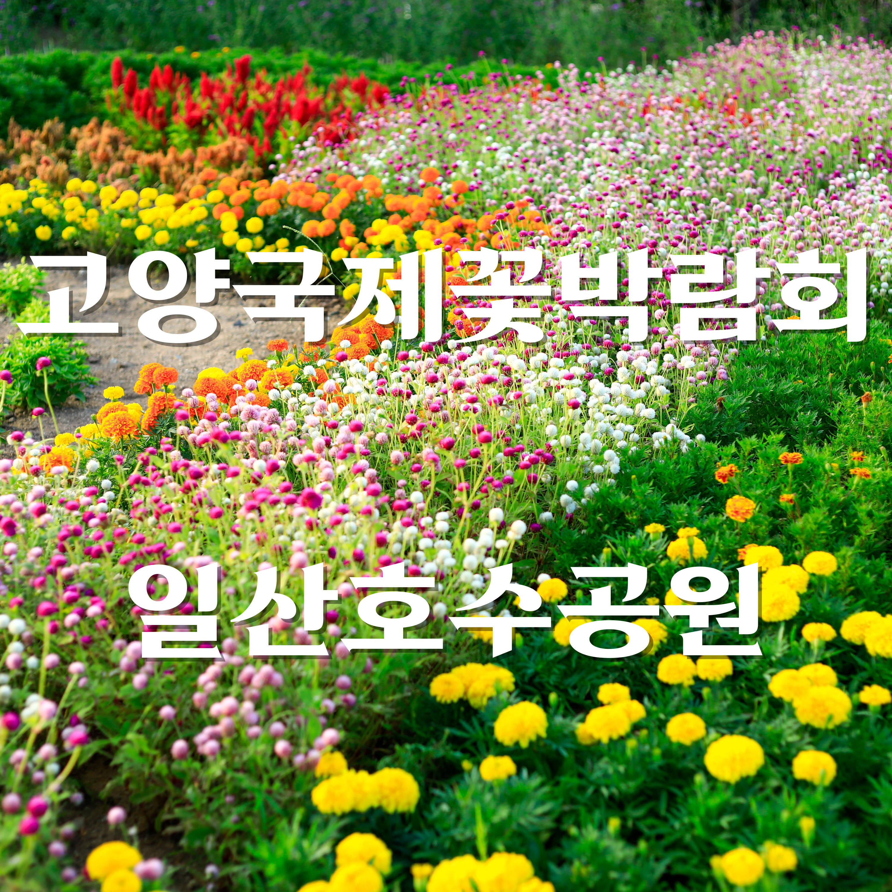 고양국제꽃박람회