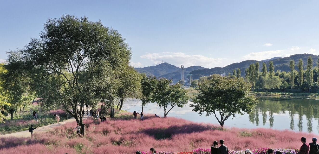 Colorful Garden 자라섬 꽃 페스타