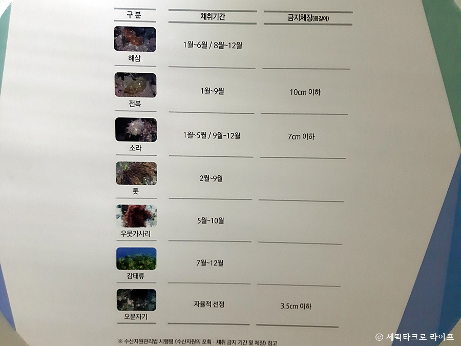 물때시간표