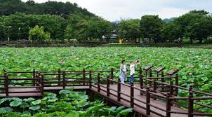 진주 가볼만한 곳 베스트 10