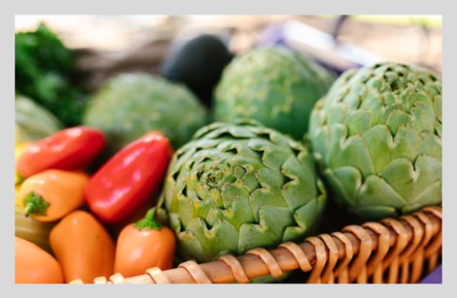 아티초크 차 효능 – 건강을 위한 변화