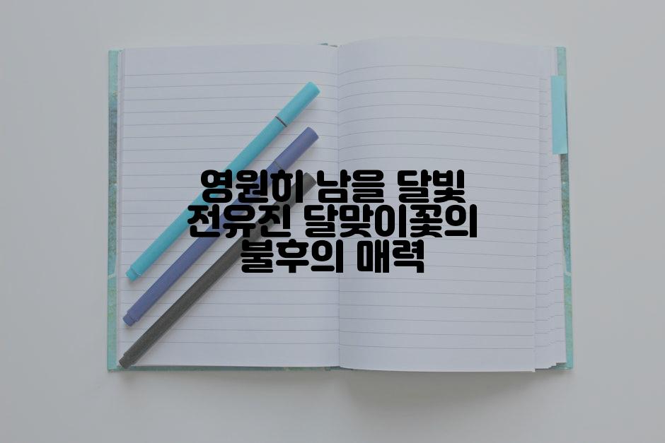 영원히 남을 달빛 전유진 달맞이꽃의 불후의 매력