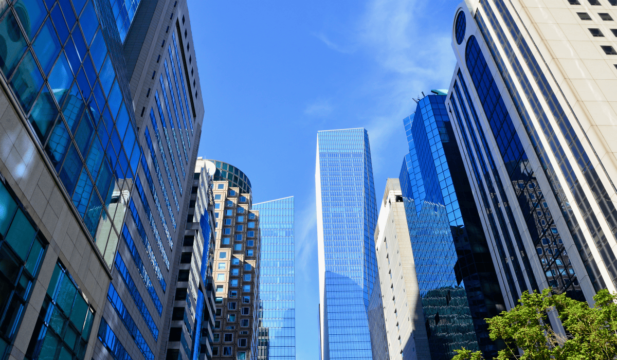 지적도_무료열람_10