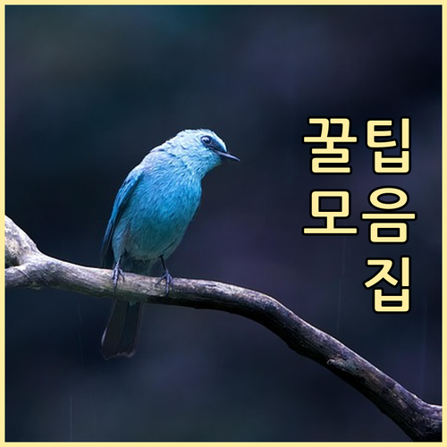 온누리페이 앱 활용법 상생페이백 받고..