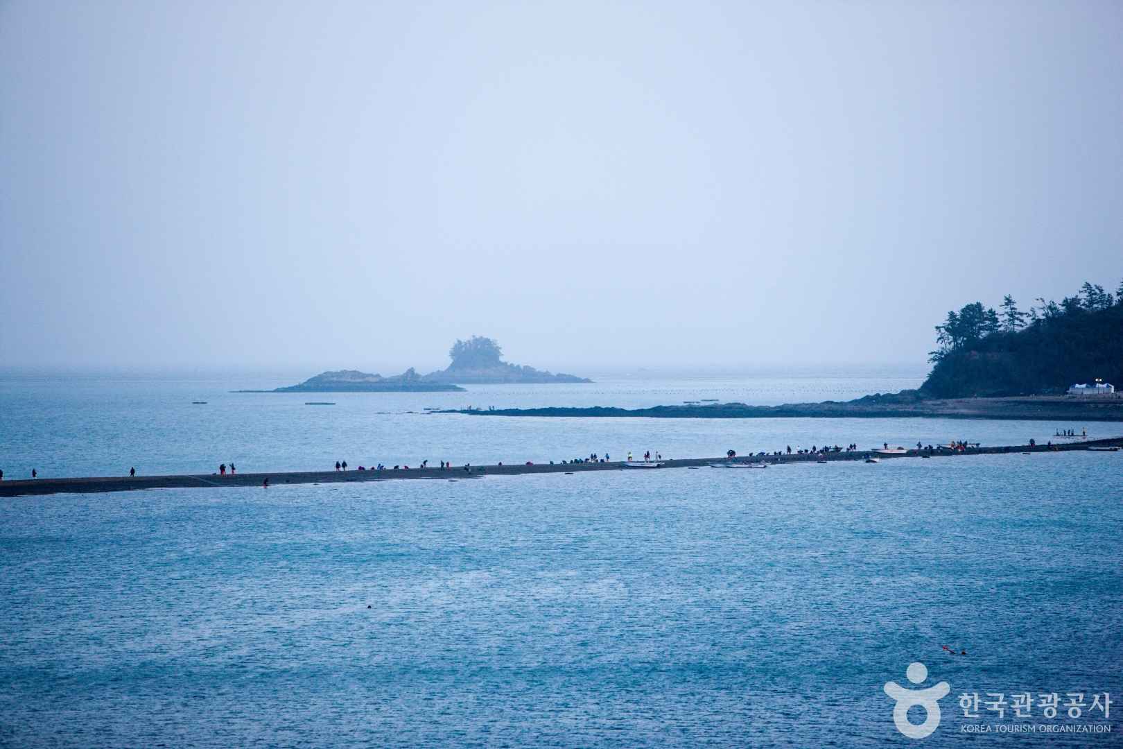 진도 신비의바닷길