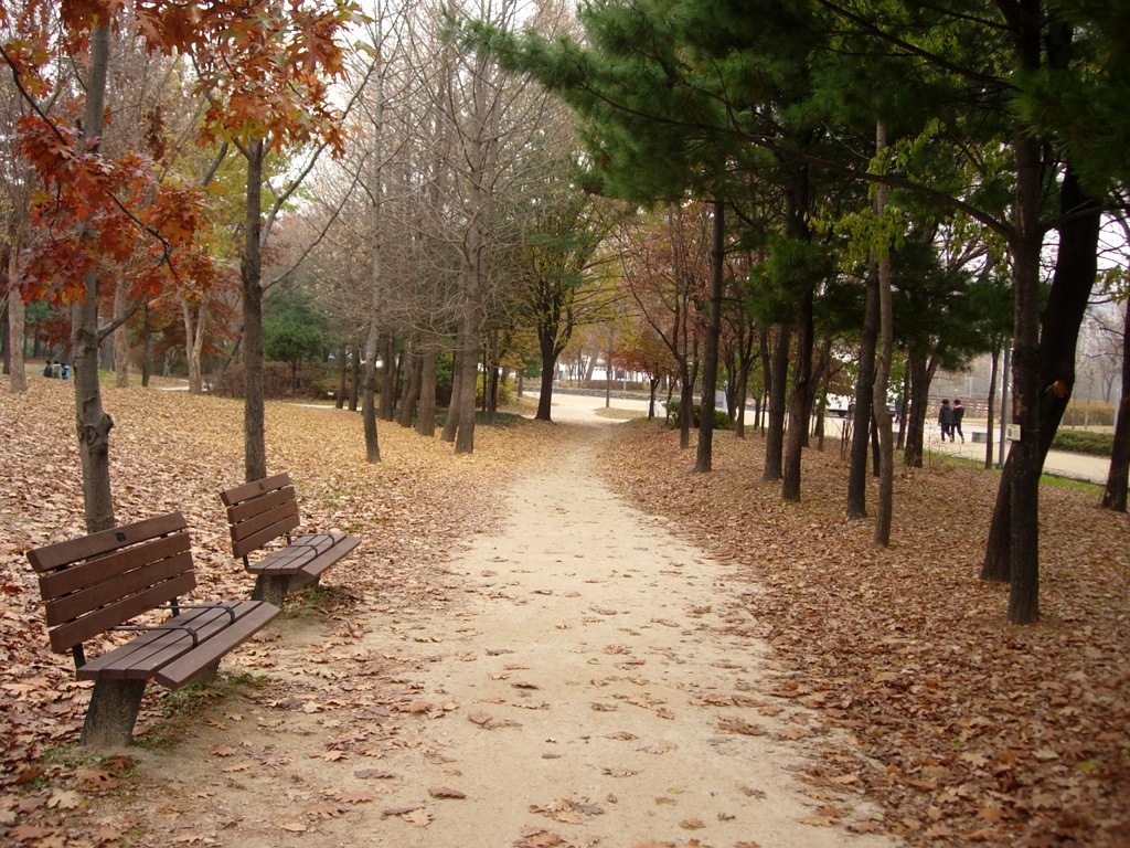 2009년 서울숲 산책길 자료 사진. 현재 단풍·정원 상태를 뜻하지 않습니다.