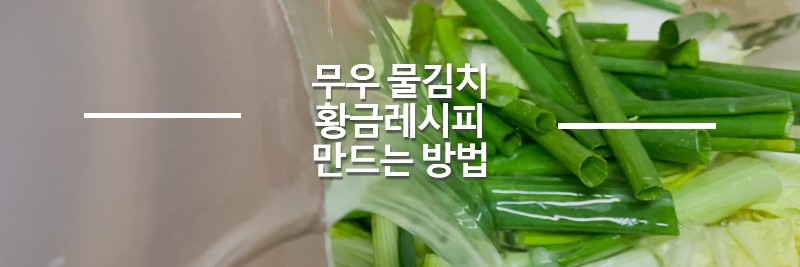 무우-물김치-섬네일