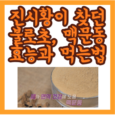 맥문동
