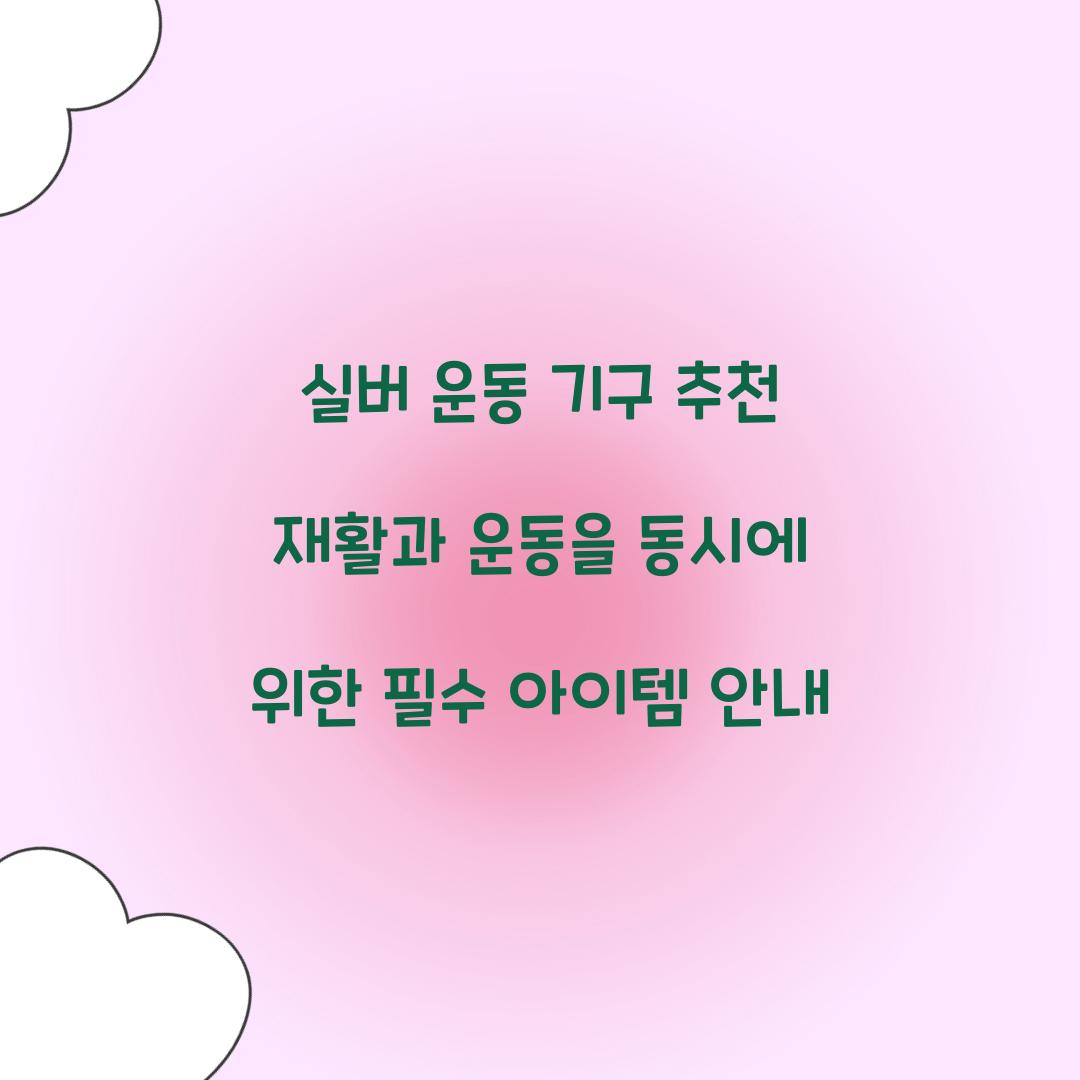 실버 운동 기구