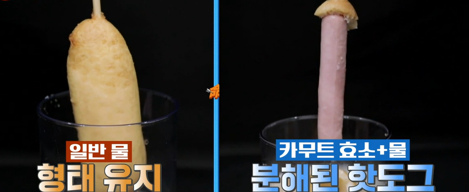 카무트 효소 효능