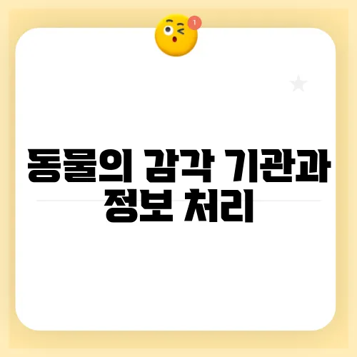 동물의 감각 기관과 정보 처리