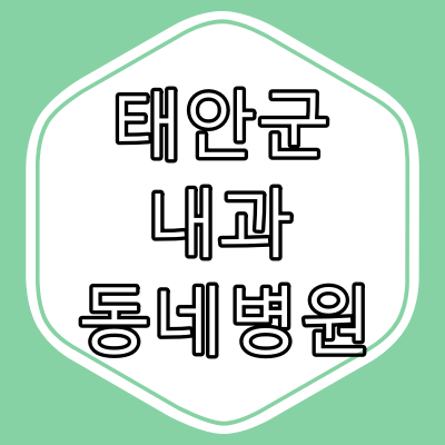 태안군 내과 전문의 진료 하는 동네 병원