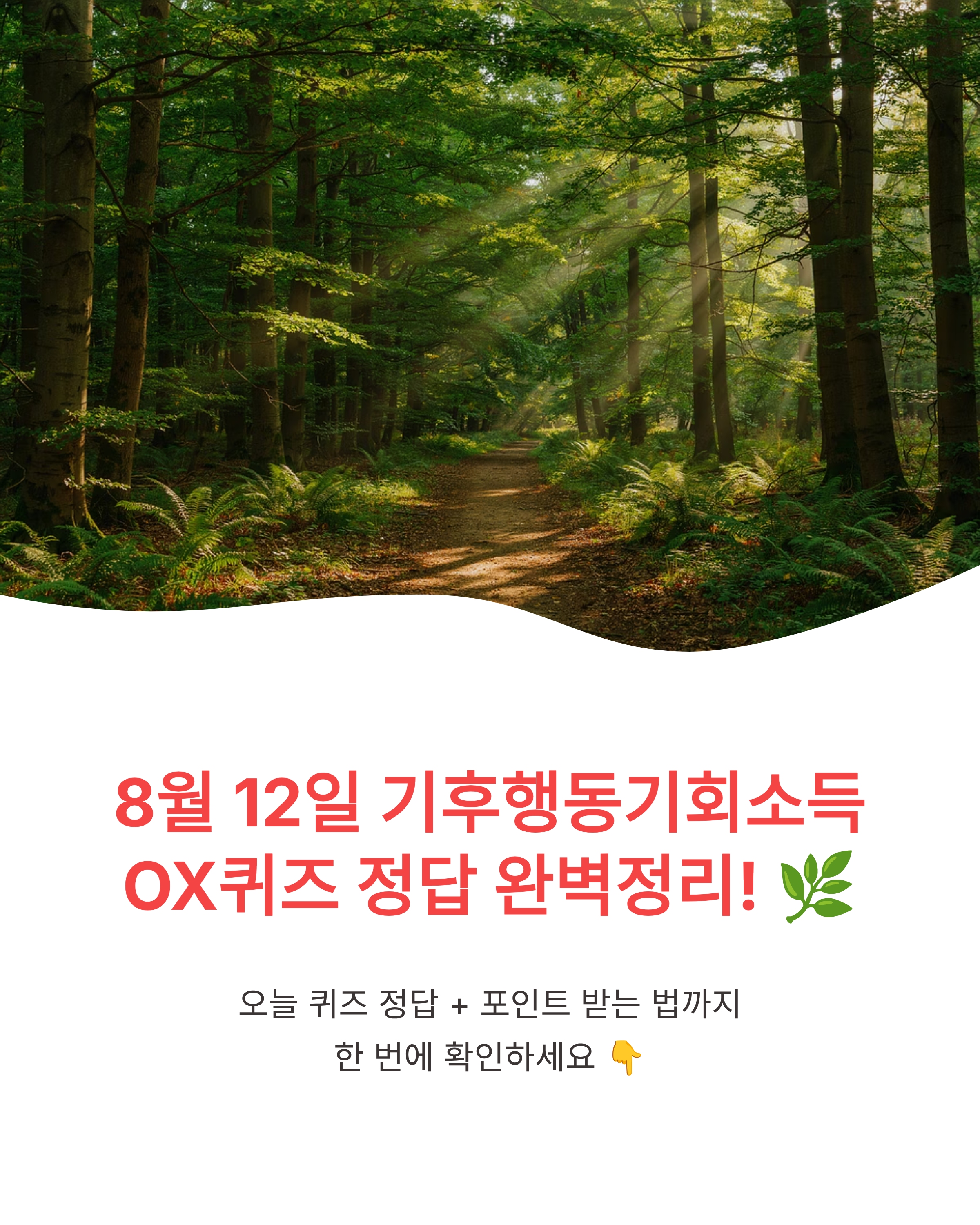 8월 12일 기후행동기회소득 OX퀴즈 정답 완벽정리!! 포인트 바로 득템