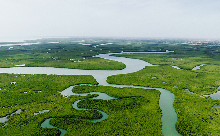 아마존-열대-우림