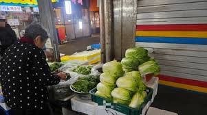 🥬 김장김치 온도 숙성 부터 오래 아삭하게 보관법