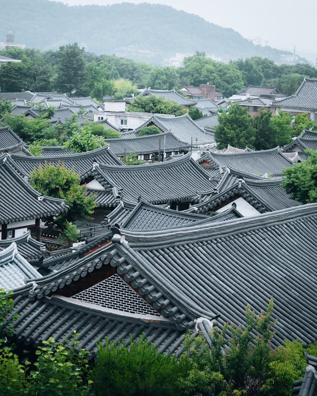 독특한 직업 - &quot;고택 복원 전문가&quot;가 지켜내는 전통 건축의 가치와 현대적 활용
