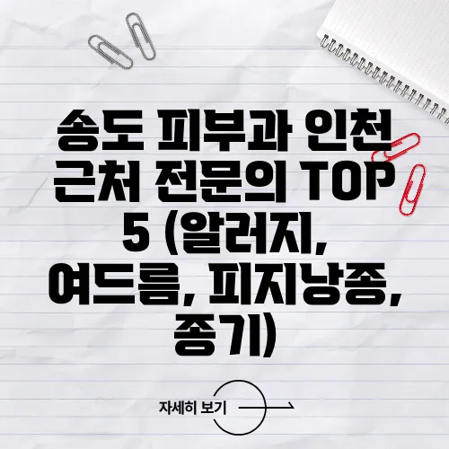 송도 피부과 인천 근처 전문의 TOP 5 (알러지, 여드름, 피지낭종, 종기)