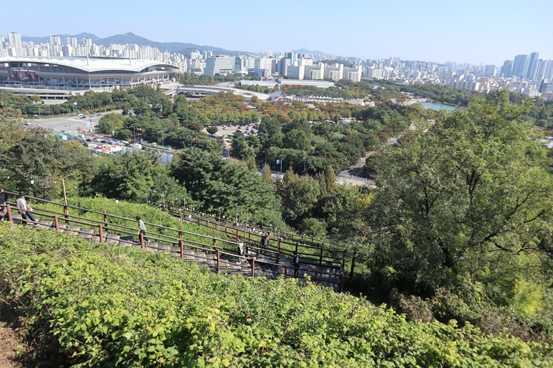 월드컵-상암구장주변