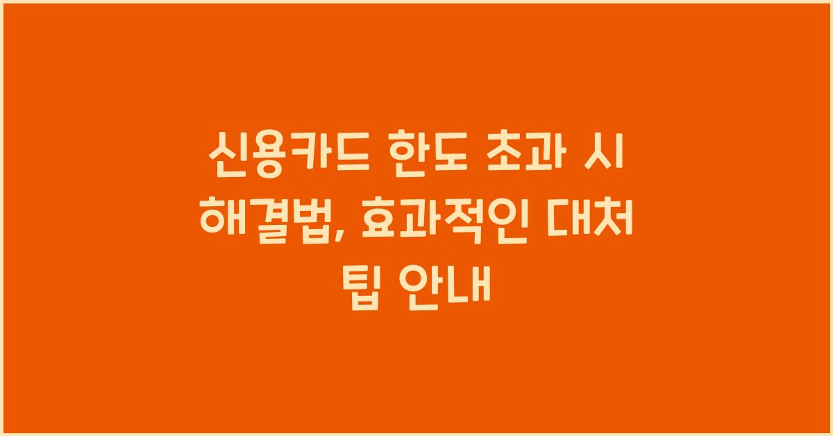 신용카드 한도 초과 시 해결법