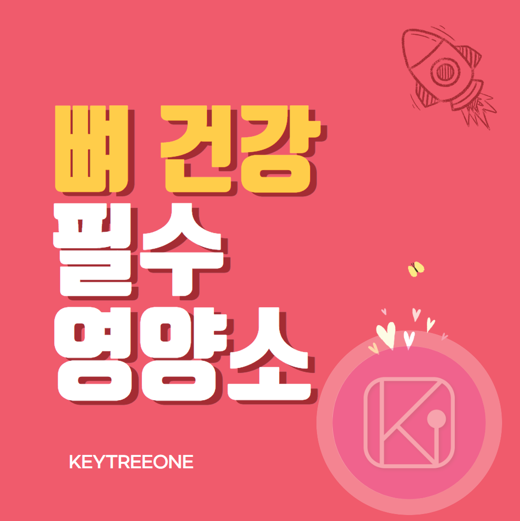 뼈 건강을 위한 필수 영양소