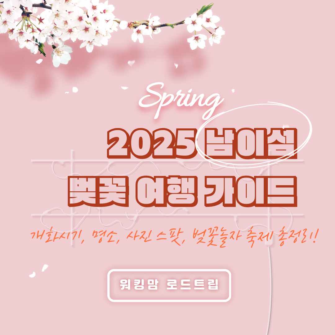 2025 남이섬 벚꽃 여행 가이드 🌸 개화시기, 명소, 사진 스팟, 벚꽃놀자 축제 총정리!-제작이미지