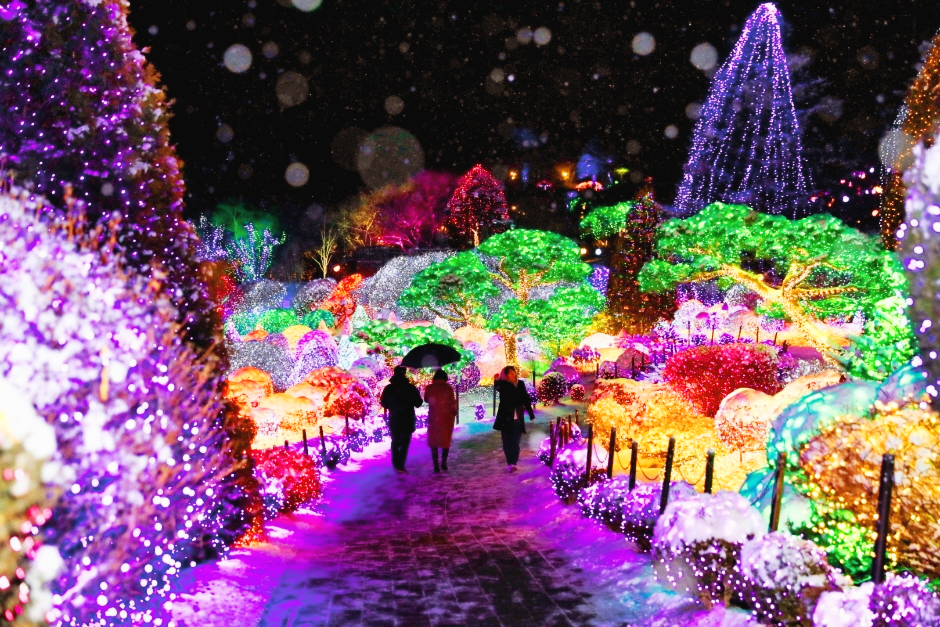 오색별빛정원전