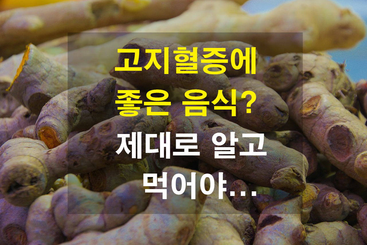 고지혈증에 좋은 음식