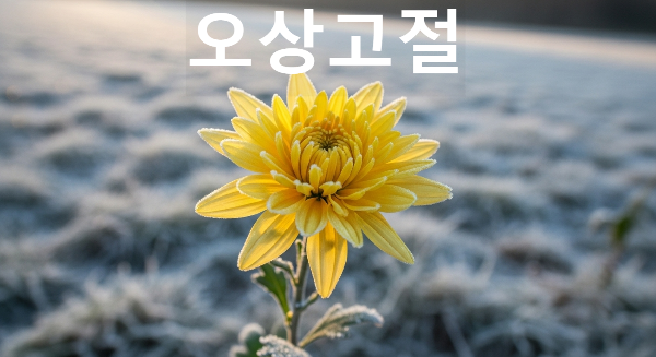 오상고절
