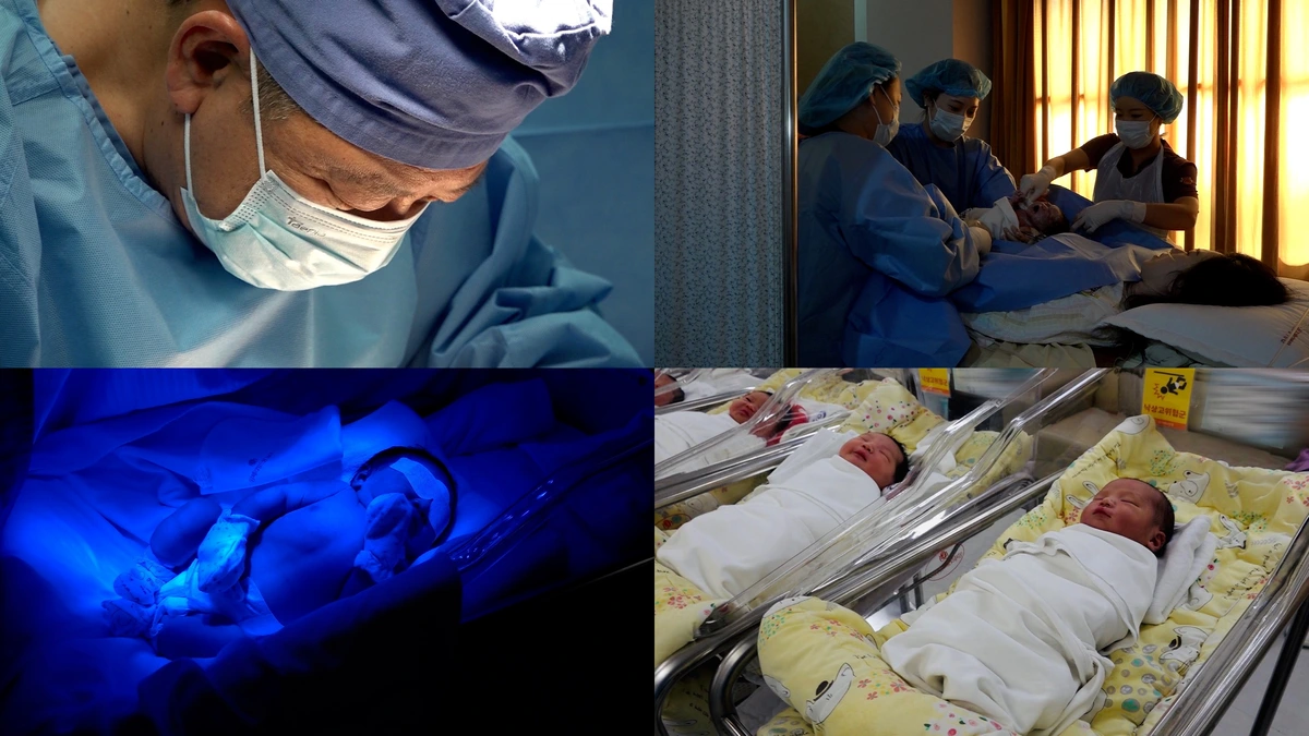 극한직업 동해안 오징어잡이와 분만실 24시