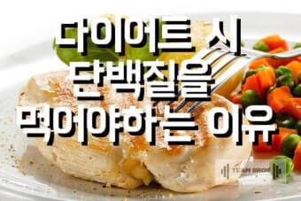 단백질과 다이어트