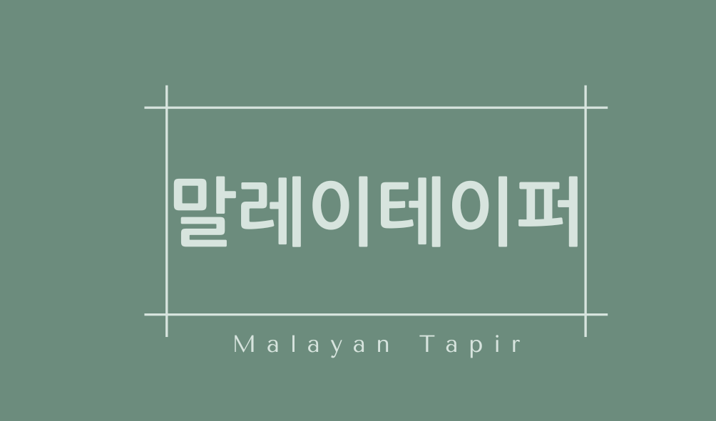 말레이테이퍼(Malayan Tapir)