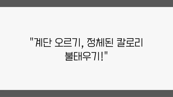 계단오르기 운동효과 칼로리 소모와 후기