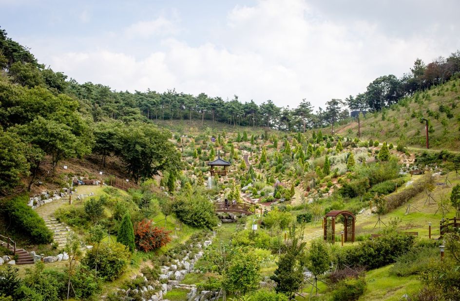 삼선산수목원