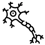 신경보호 효과 사진