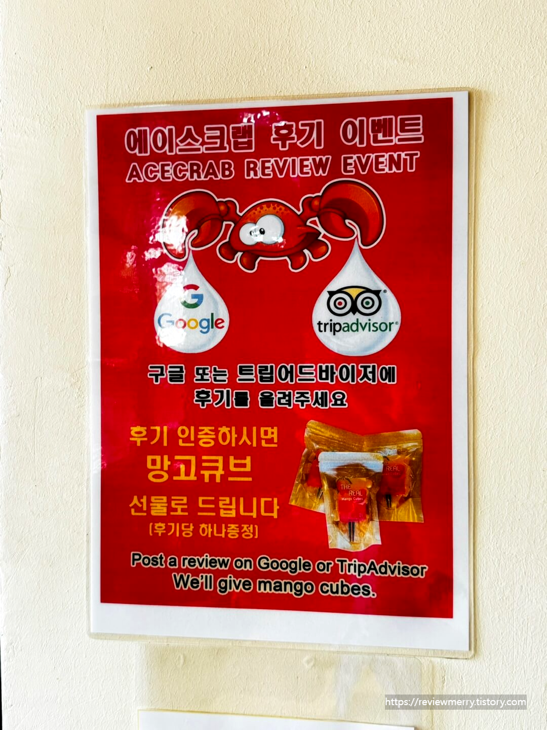 후기 이벤트