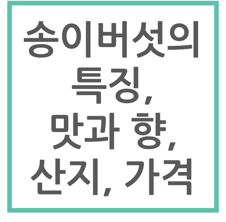 송이버섯의 특징&#44; 맛과 향&#44; 산지&#44; 가격