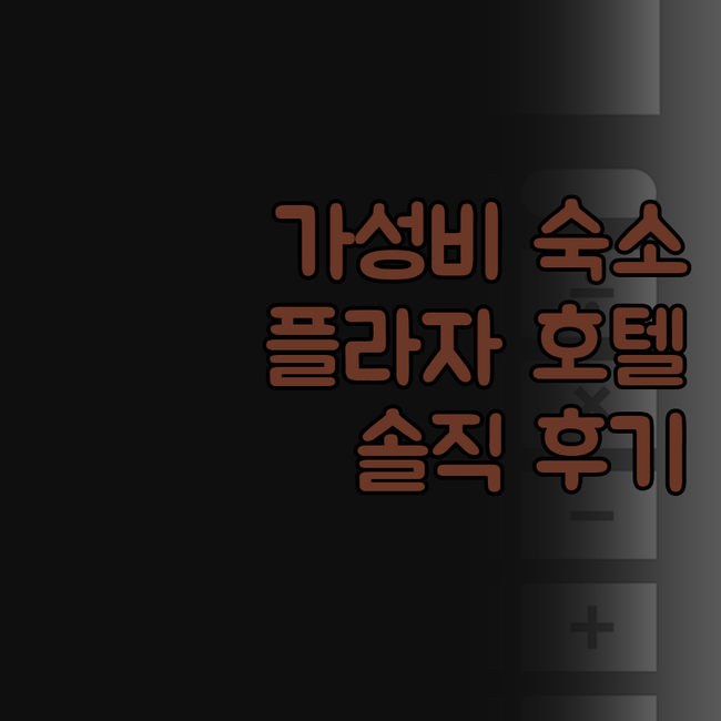 푼타 아레나스 호텔 플라자 숙박 후기