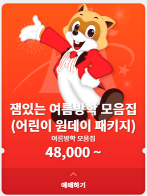 롯데월드 매직패스 당일 구매