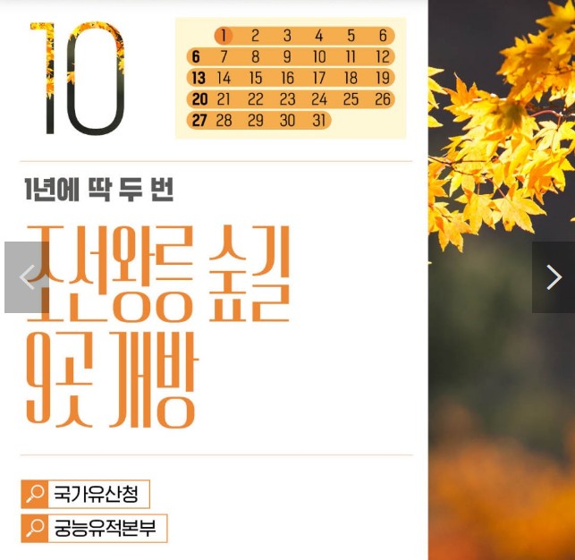 조선왕릉숲길_썸네일