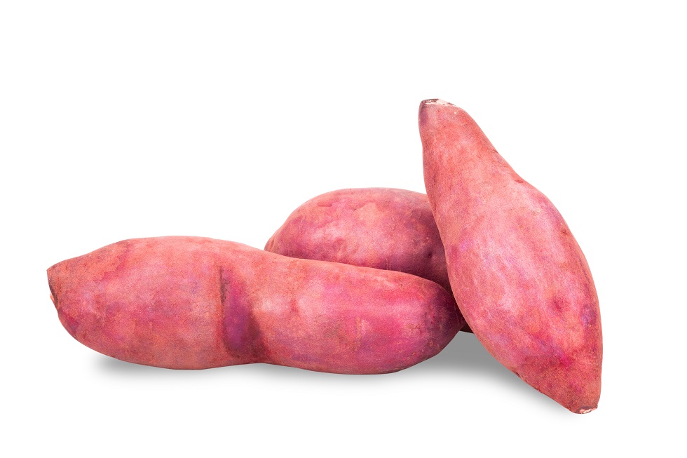 가을 제철 음식