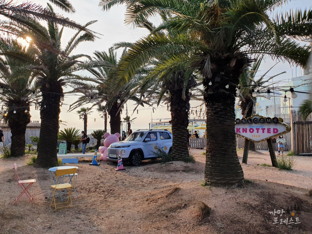 제주 카페 노티드 야외 인테리어