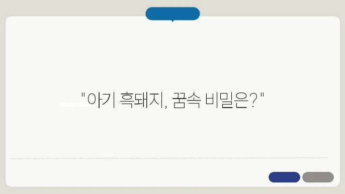 아기 흑 돼지 꿈 해몽